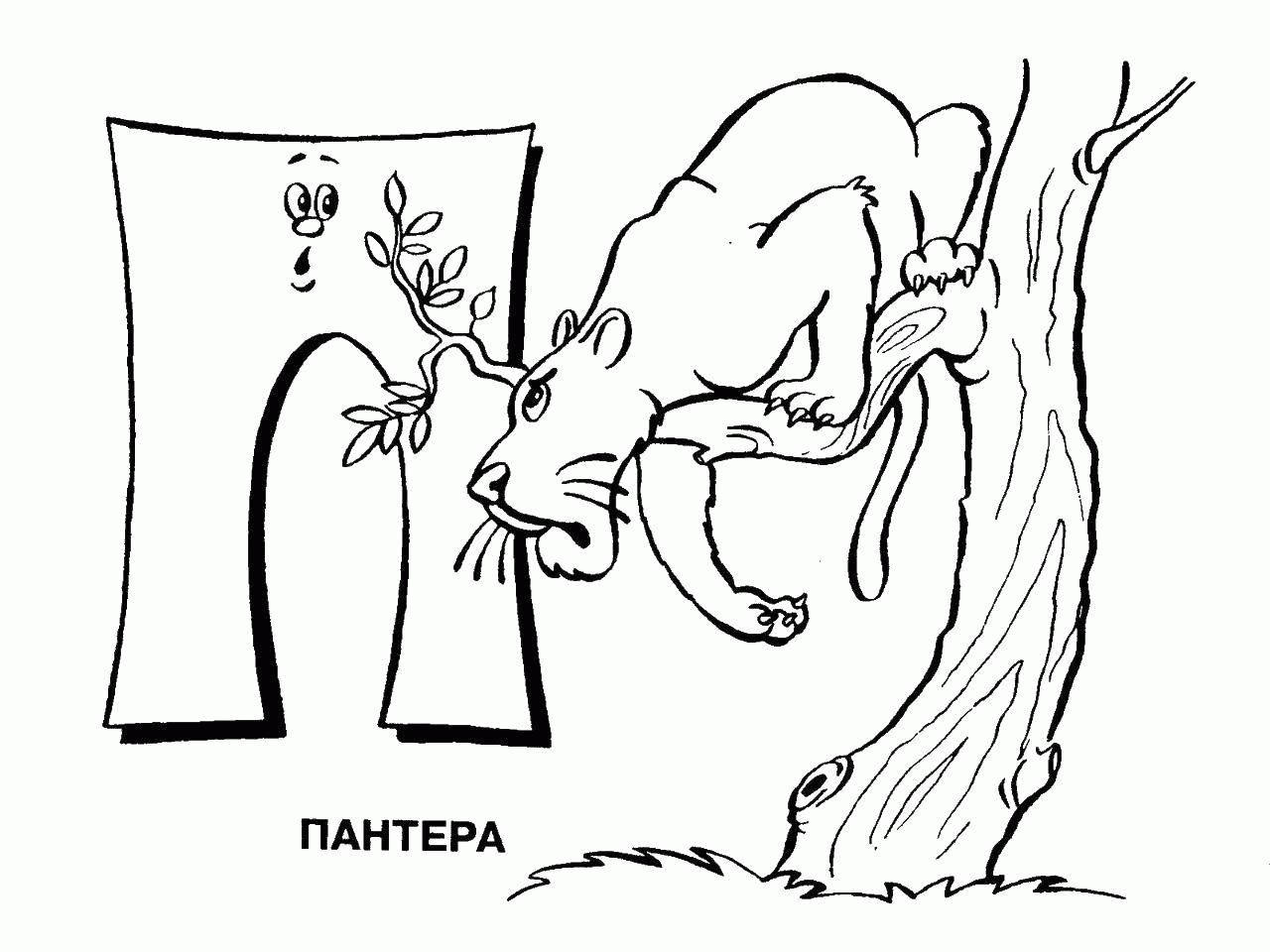 Раскраски Раскраска Пантера на букву п , скачать распечатать раскраски.